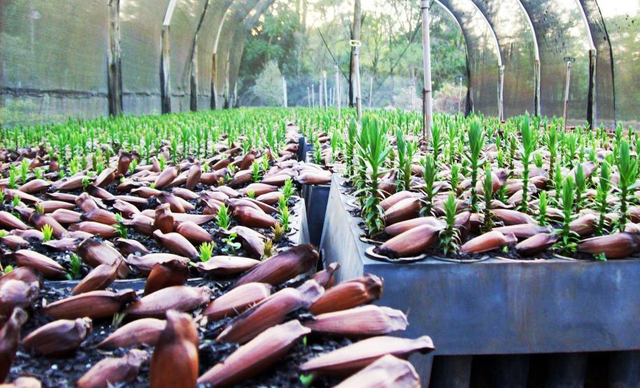 Bioclima parcerias Bioclima parcerias