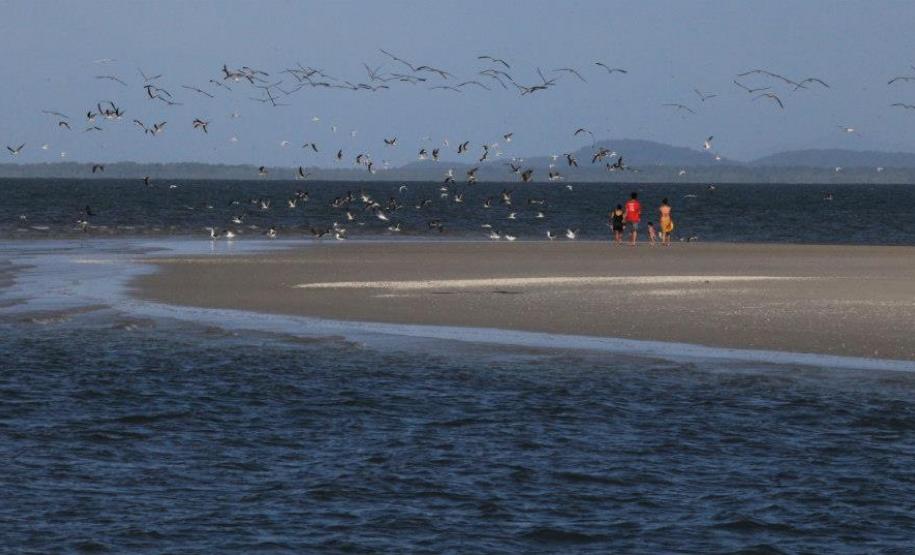 Operação Verão 2012/13 IAP