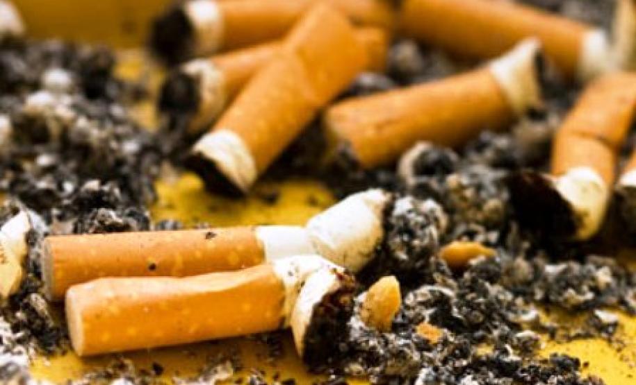 Paraná terá campanha inédita para destinação correta de bitucas Paraná terá campanha inédita para destinação correta de bitucas