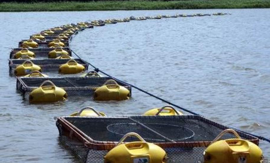 Secretaria do Meio Ambiente vai dispensar pequenos psicultores de licenciamento ambiental