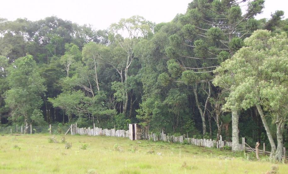 Paraná ganha quatro novas áreas de uso sustentável Paraná ganha quatro novas áreas de uso sustentável