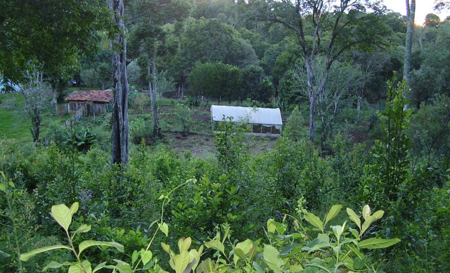 Paraná ganha quatro novas áreas de uso sustentável Paraná ganha quatro novas áreas de uso sustentável