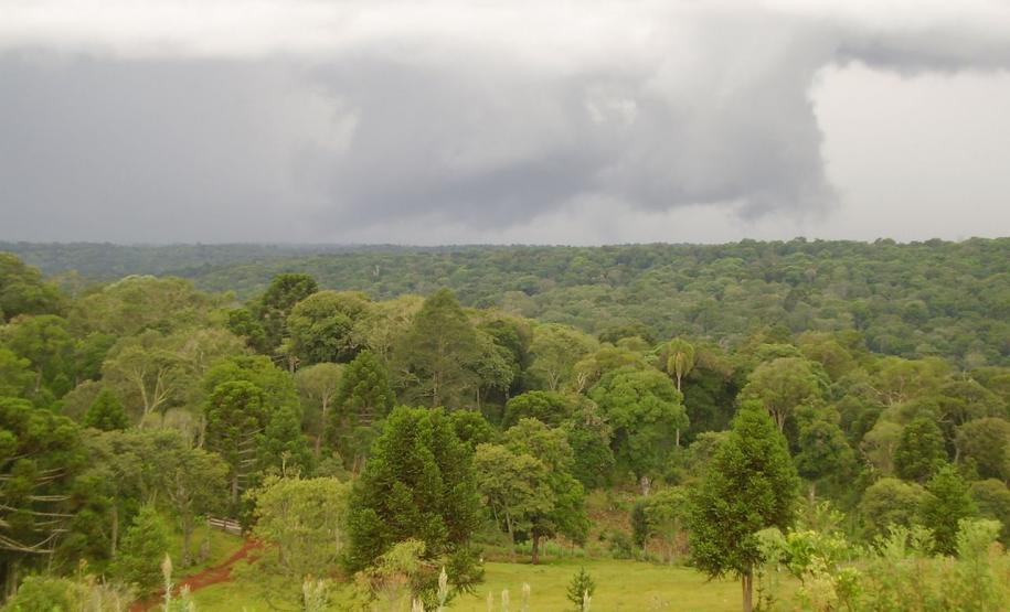 Paraná ganha quatro novas áreas de uso sustentável Paraná ganha quatro novas áreas de uso sustentável