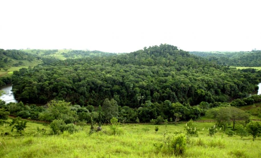Paraná prorroga a suspensão do cadastro e averbação da reserva legal
