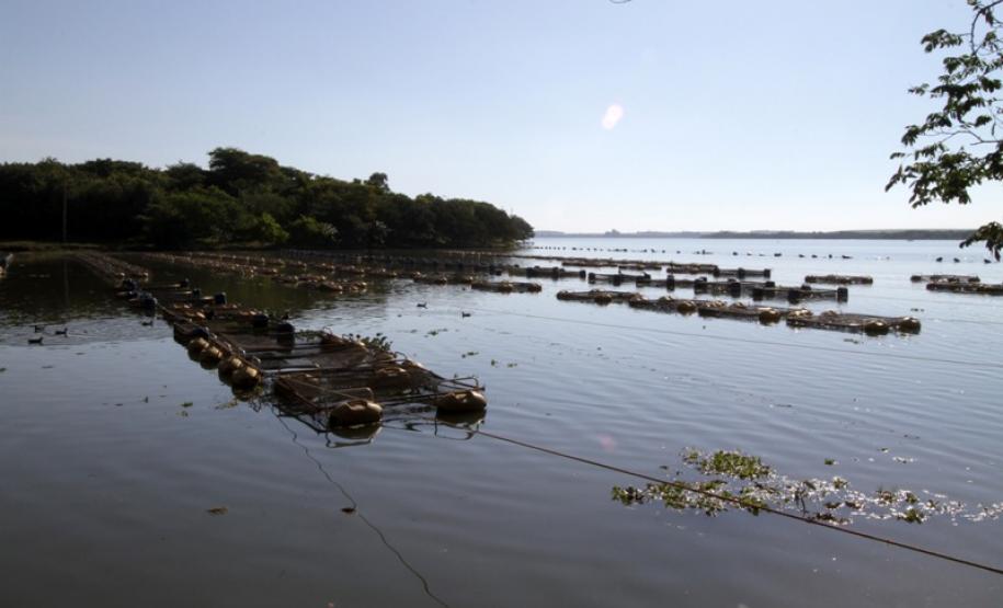 Governo reduz burocracia para pequenos piscicultores Governo reduz burocracia para pequenos piscicultores