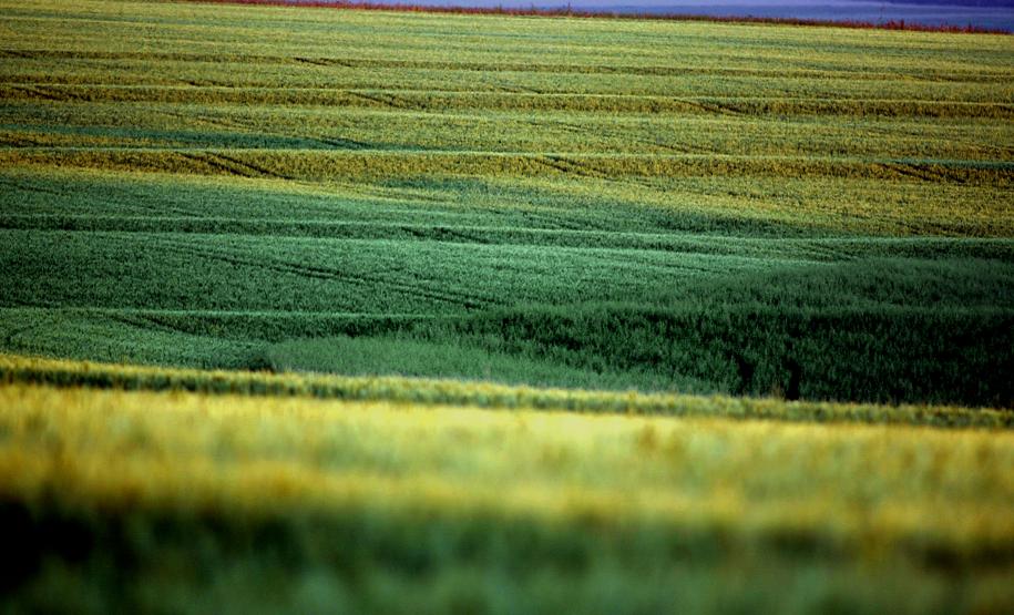 Secretaria do Meio Ambiente ressalta parceria agricultura e meio ambiente Secretaria do Meio Ambiente ressalta parceria agricultura e meio ambiente