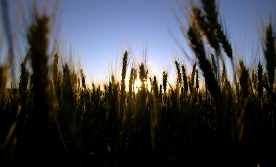 Secretaria do Meio Ambiente ressalta parceria agricultura e meio ambiente Secretaria do Meio Ambiente ressalta parceria agricultura e meio ambiente