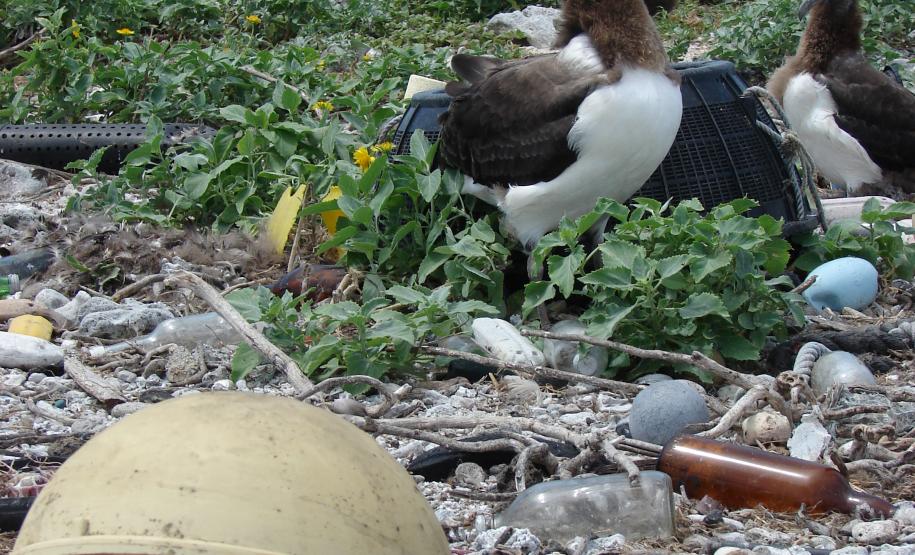 Governo promove debate inédito para resolver o problema de lixo no mar A Secretaria do Meio Ambiente e Recursos Hídricos promove, no próximo dia 20 de agosto, à partir das 9h, em Paranaguá a primeira Conferência Livre do Meio Ambiente sobre Lixo Marinho. O objetivo da Conferência é debater ações efetivas para solucionar o problema do lixo marinho e suas consequência para o turismo ecológico, para pesca e saúde humana.