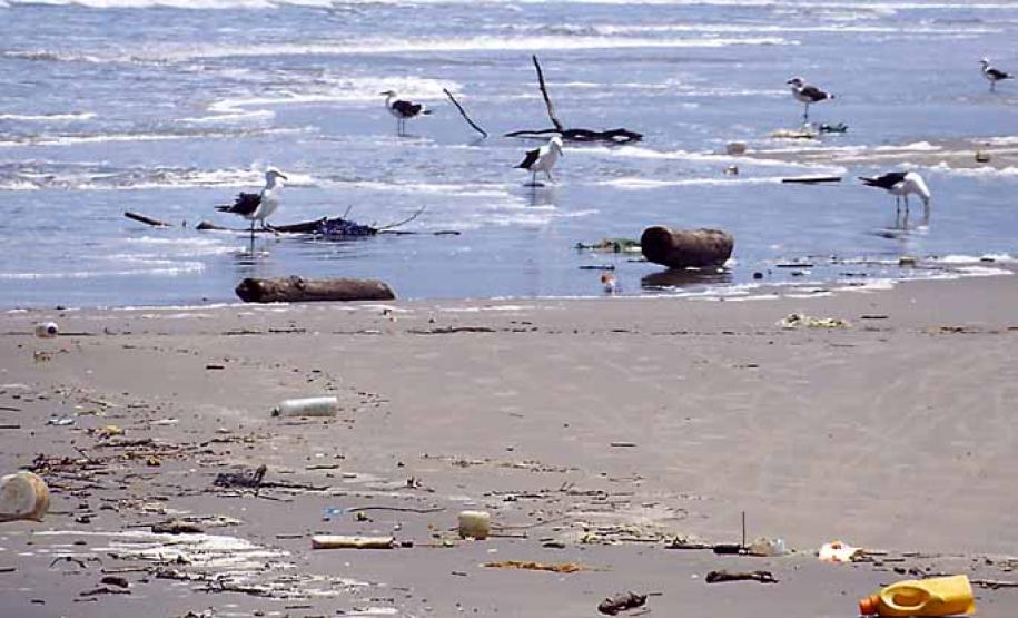 Governo promove debate inédito para resolver o problema de lixo no mar A Secretaria do Meio Ambiente e Recursos Hídricos promove, no próximo dia 20 de agosto, à partir das 9h, em Paranaguá a primeira Conferência Livre do Meio Ambiente sobre Lixo Marinho. O objetivo da Conferência é debater ações efetivas para solucionar o problema do lixo marinho e suas consequência para o turismo ecológico, para pesca e saúde humana.