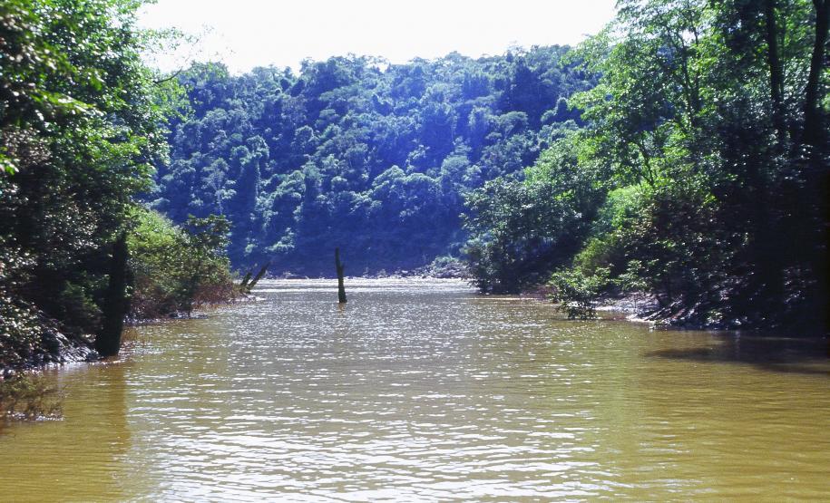 Paraná vai cobrar água usada por indústrias e grandes usuários. Foto: Denis Ferreira Netto