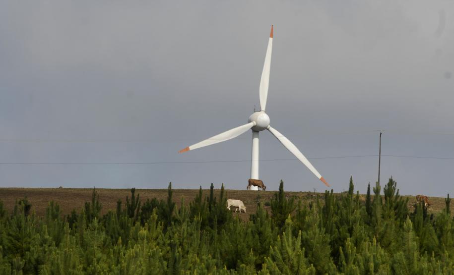 Secretaria lança cartilha com dicas para evitar o aquecimento global