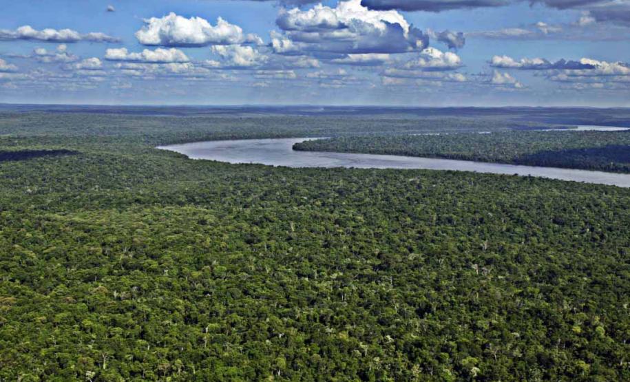 Parque Nacional do Iguaçu, Foz do Iguaçu, Paraná, Brasil, fotos ilustrativas sobre mudanças climáticas no Paraná.//foto Denis ferreira Netto.