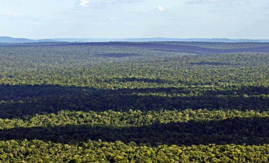 Parque Nacional do Iguaçu, Foz do Iguaçu, Paraná, Brasil, fotos ilustrativas sobre mudanças climáticas no Paraná.//foto Denis ferreira Netto.