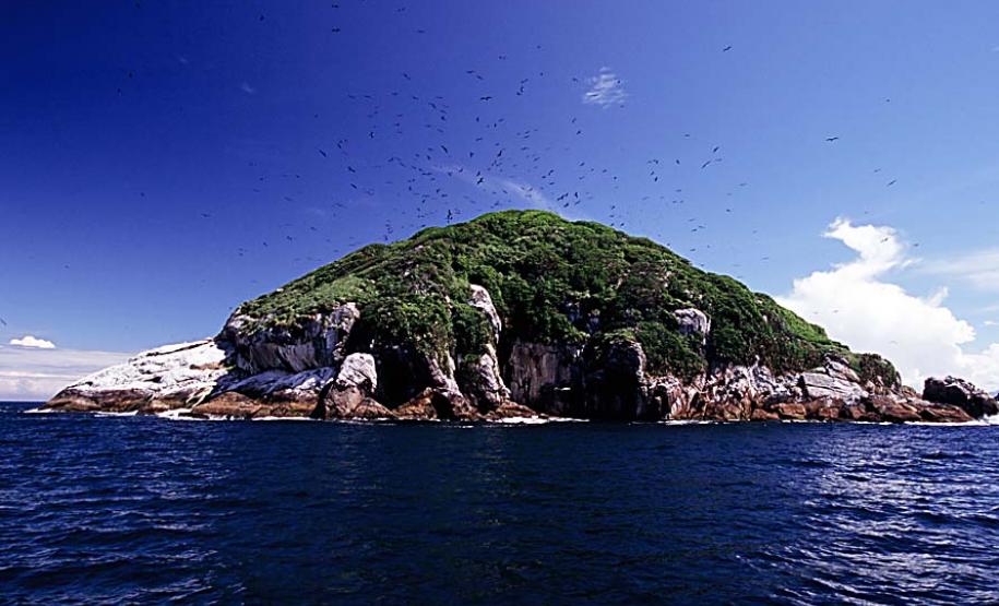 Propostas paranaenses para reduzir lixo marinho serão levadas à Brasília