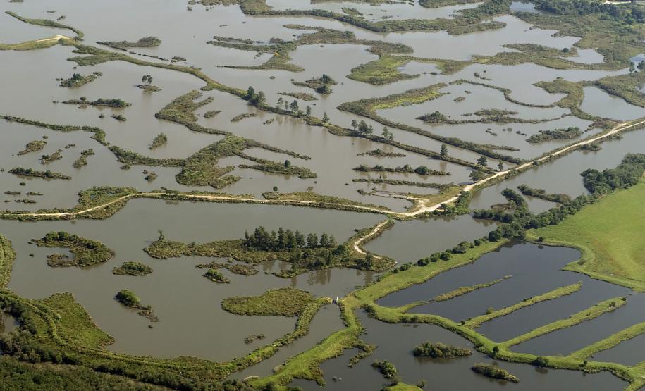 Parceria entre o Governo do Paraná e a Agência Nacional de Águas (ANA) irá implementar o Pagamento por Serviços Ambientais (PSA) em propriedades rurais localizadas em áreas de mananciais de abastecimento público.