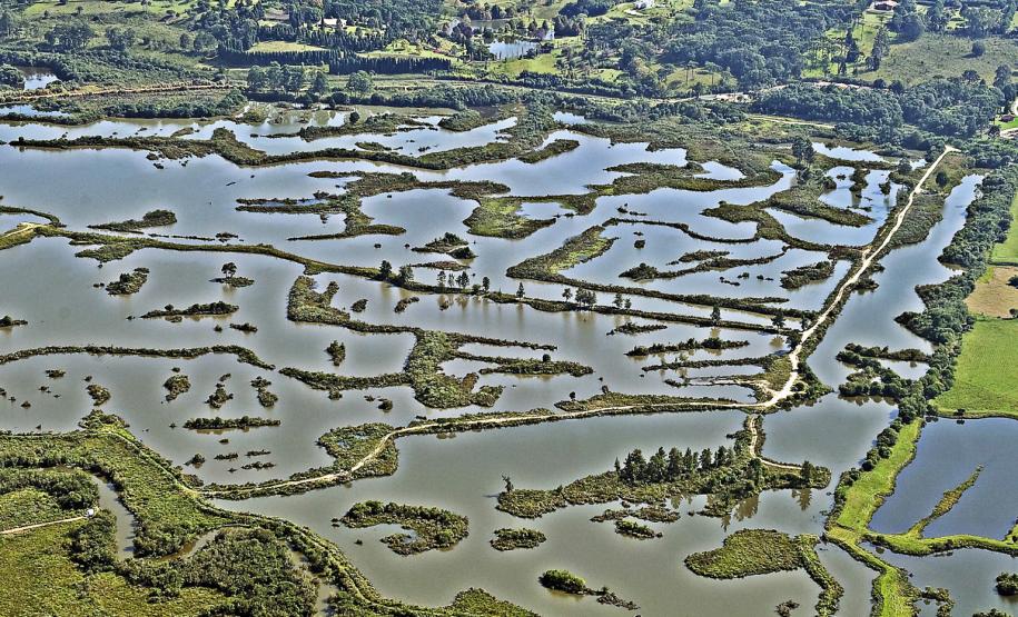 Em 2013, Paraná investiu R$ 26 mi em projetos de conservação dos rios. Foto: Denis Ferreira Netto
