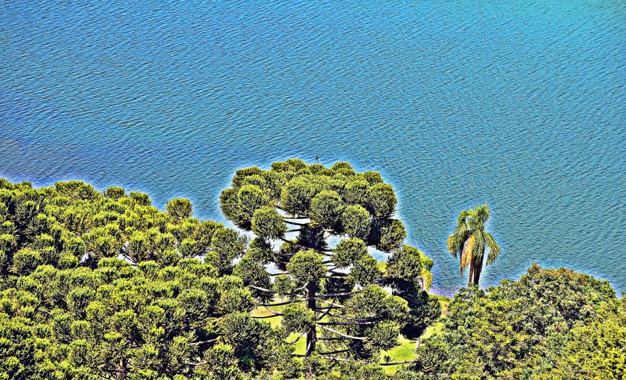 Em 2013, Paraná investiu R$ 26 mi em projetos de conservação dos rios. Foto: Denis Ferreira Netto