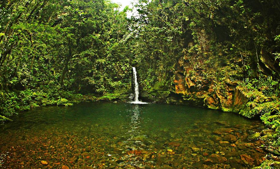 Em 2013, Paraná investiu R$ 26 mi em projetos de conservação dos rios. Foto: Denis Ferreira Netto