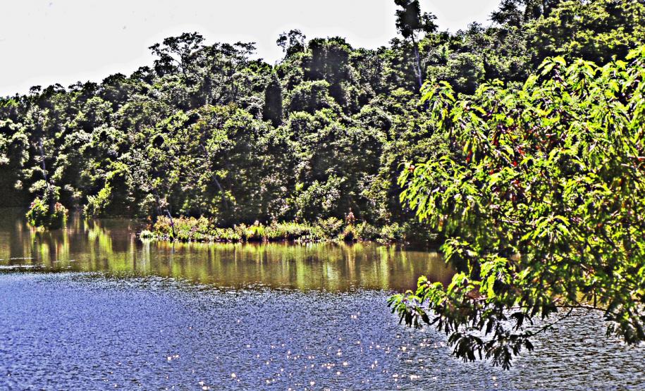 Em 2013, Paraná investiu R$ 26 mi em projetos de conservação dos rios. Foto: Denis Ferreira Netto