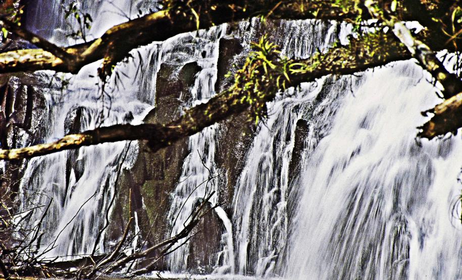 Em 2013, Paraná investiu R$ 26 mi em projetos de conservação dos rios. Foto: Denis Ferreira Netto