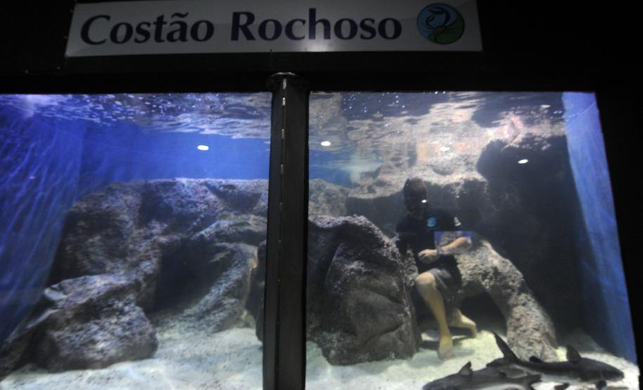 Aquário de Paranaguá.Paranaguá, 09/01/2014Foto: Ricardo Almeida / ANPr