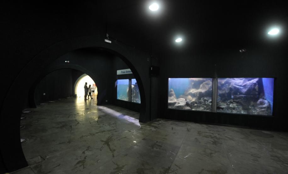 Aquário de Paranaguá.Paranaguá, 09/01/2014Foto: Ricardo Almeida / ANPr