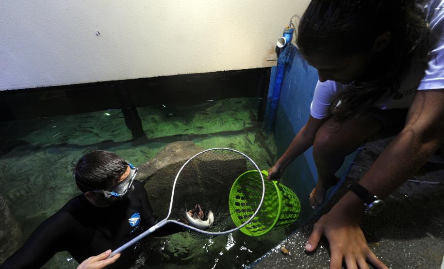 Aquário de Paranaguá.Paranaguá, 09/01/2014Foto: Ricardo Almeida / ANPr