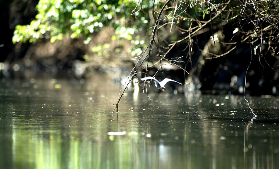 Paraná irá sediar workshop Pagamento por Serviços Ambientais da Água Paraná irá sediar workshop Pagamento por Serviços Ambientais da Água