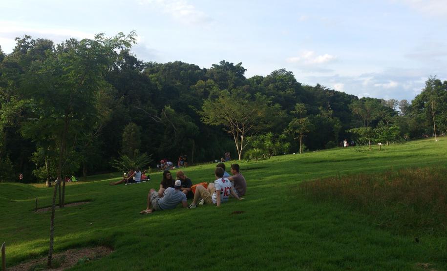 Famílias e turistas aproveitam o Jardim Botânico de Londrina