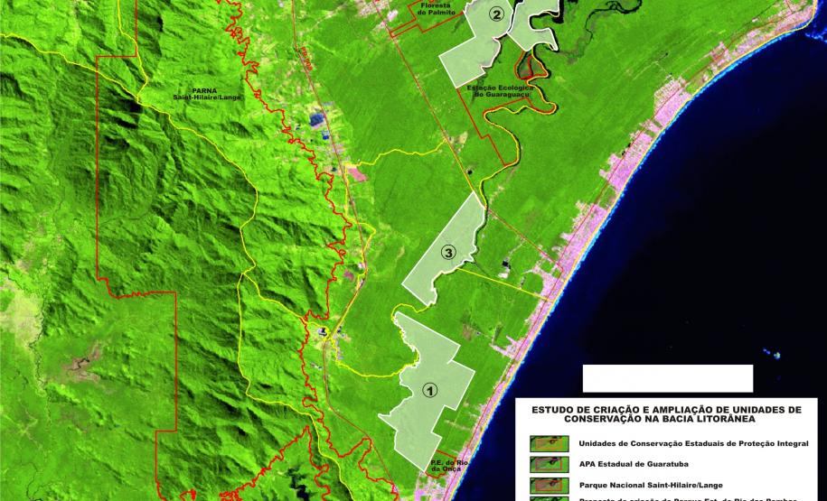 Recursos do leilão de reflorestamentos vão ajudar a conservar florestas nativas