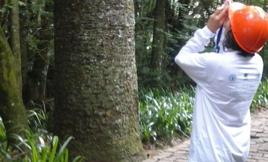 Meio Ambiente apresenta andamento do inventário florestal do Paraná