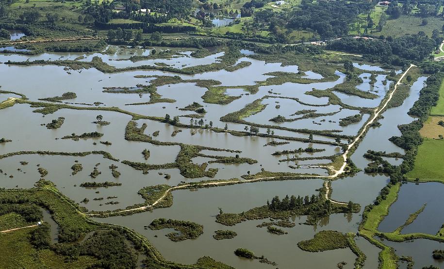Paraná irá destinar R$ 4,5 milhões para ações de segurança hídrica