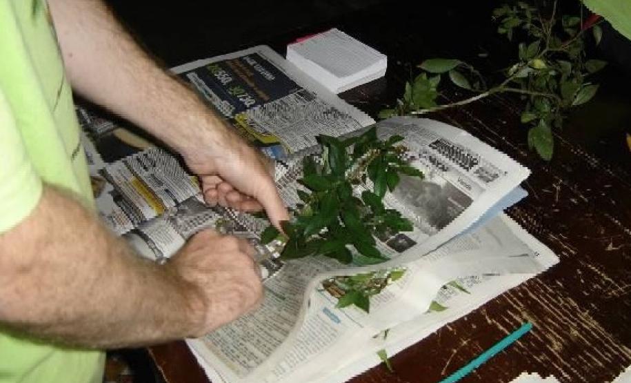 Governo orienta produtores rurais sobre o Inventário Florestal