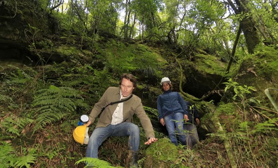 Cavernas do Parque Estadual de Campinhos abrigam formas esculpidas há milhares de anos