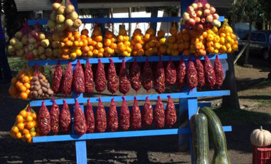 Colheita do pinhão será permitida somente a partir de 1º de abril Colheita do pinhão será permitida somente a partir de 1º de abril.Foto: Mauro Scharnik / IAP