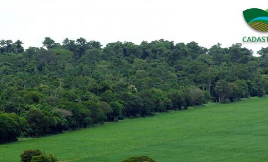 Governo Federal anuncia prorrogação do CAR por mais um ano