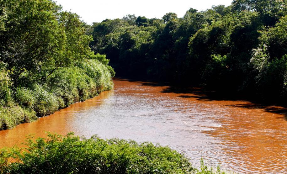 Paraná divulgará dados sobre condições do rios na Rede de Qualidade da Água Rio Pirapó, em Maringá.Foto: Sanepar Maringá