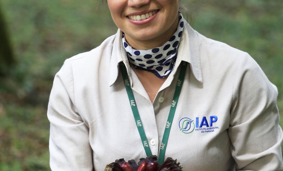 Produção de mudas nativas do IAP - N/F: Maria Cecília de Oliveira Bastos, Coordenadora de Viveiros do IAP.Curitiba, 22-05-15.Foto: Arnaldo Alves / ANPr.