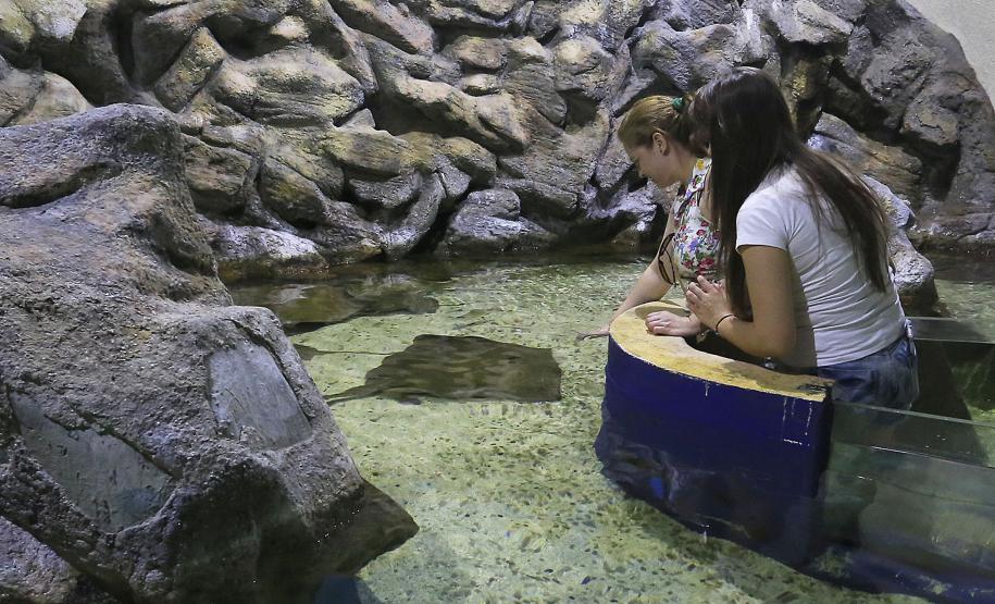 Aquario de Paranaguá.Paranaguá, 25-02-15.Foto: Arnaldo Alves / ANPr