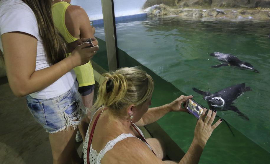 Aquario de Paranaguá.Paranaguá, 25-02-15.Foto: Arnaldo Alves / ANPr