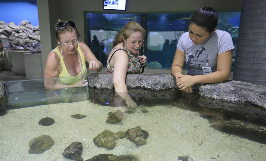 Aquario de Paranaguá.Paranaguá, 25-02-15.Foto: Arnaldo Alves / ANPr