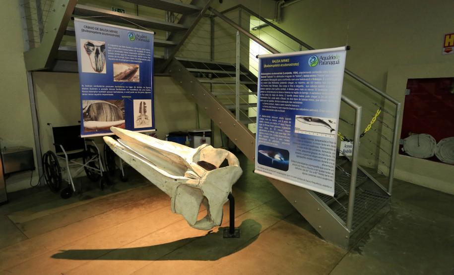 Aquario de Paranaguá.Paranaguá, 25-02-15.Foto: Arnaldo Alves / ANPr