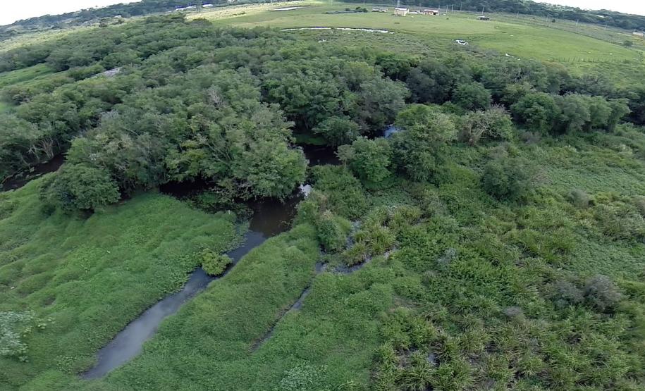 Em São José dos Pinhais estão localizadas as bacias dos rios Pequeno, Itaqui e Miriguava, além de parte da Área de Preservação Ambiental (APA) de Guaratuba. Na foto, Rio Itaqui.Foto: Prefeitura de São José dos Pinhais