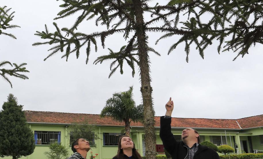 ESTRADAS COM ARAUCÁRIAS. N/F: prof. Heitor, com os alunos Diogo Claudino e Jaqueline Aparecida Portes.Lapa, 25-06-15.Foto: arnaldo Alves / ANPr.