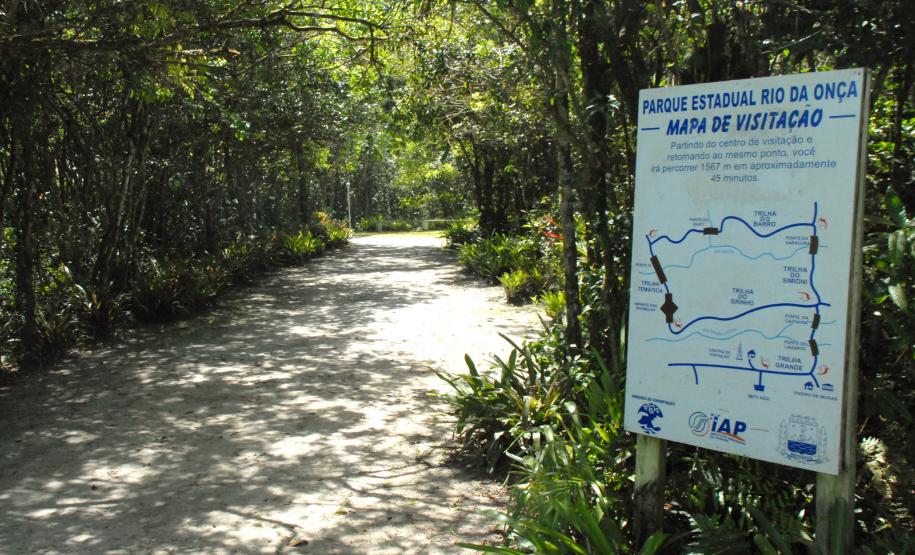 Entre os balneários Riviera e Praia Grande, em Matinhos, fica uma pequena joia do Litoral paranaense. Bem perto da praia, a 600 metros, está o Parque Estadual Rio da Onça, um local repleto de bromélias, orquídeas de rara beleza e outras espécies da vegetação típica da planície litorânea do Estado, que atraem aves, pássaros e outros diversos animais silvestres.Foto: Arnaldo Alves/ANPr