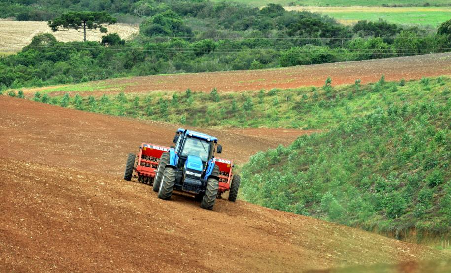 Plantio do trigo.  Fotos Chuniti Kawamura/Arquivo ANPr