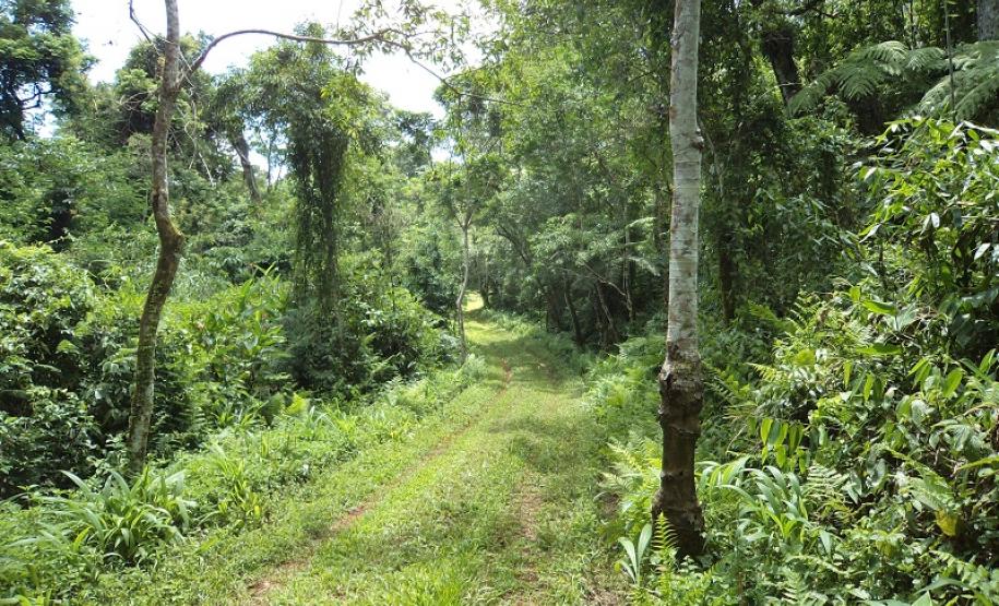 Parque Estadual Rio Guarani, em Três Barras do Paraná.Foto: Divulgação