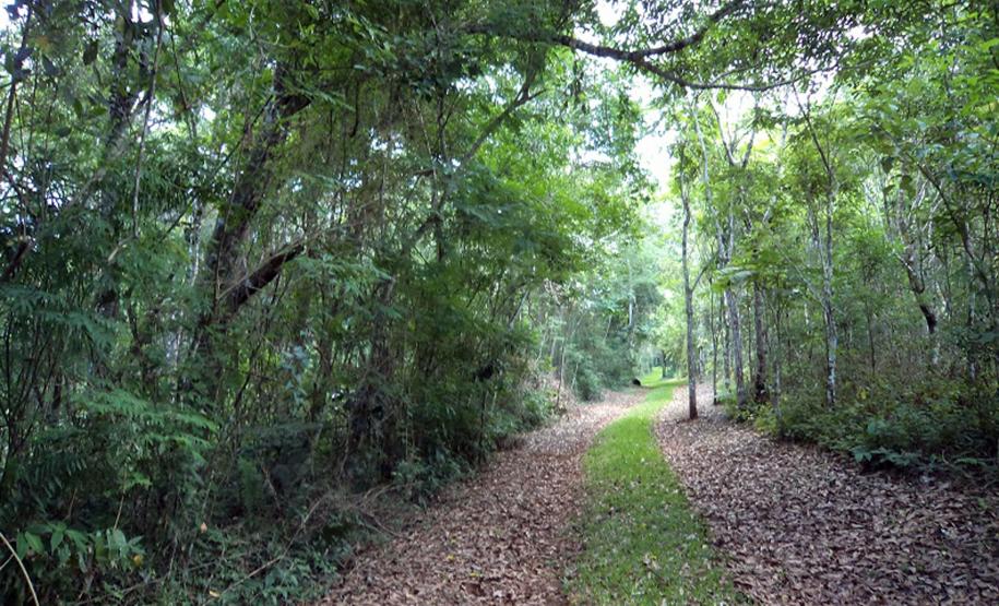 Parque Estadual Rio Guarani, em Três Barras do Paraná.Foto: Divulgação