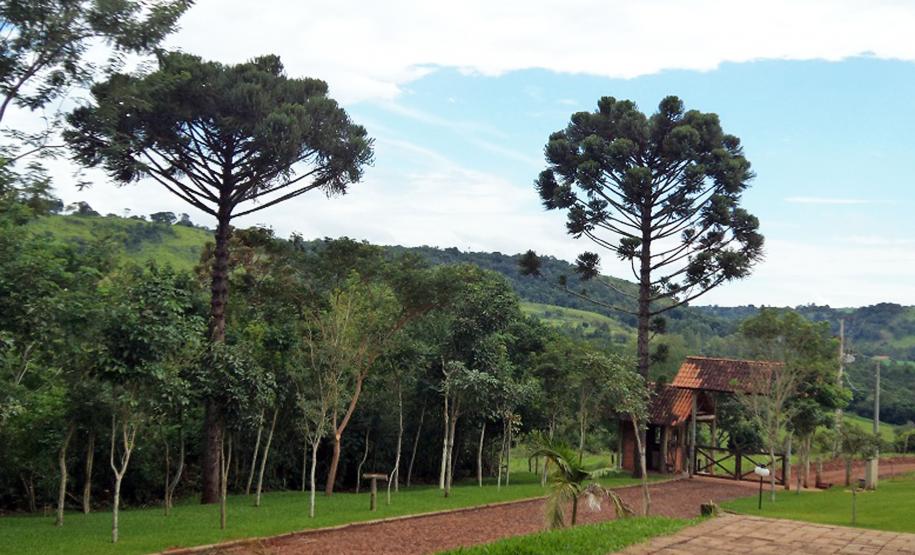 Parque Estadual Rio Guarani, em Três Barras do Paraná.Foto: Divulgação