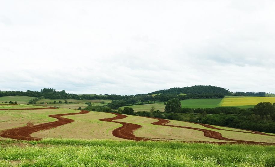 Programa de Gestão de Microbacias no município de Dois Vizinhos: Manejo adequado do solo garante maior produtividade nas lavouras.Foto: SEAB/Reg Dois Vizinhos